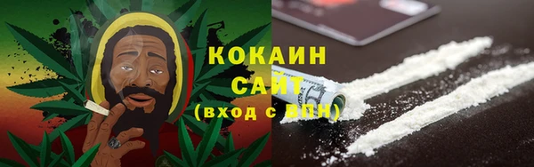 гашик Алзамай