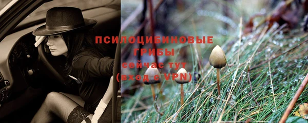 гашик Алзамай