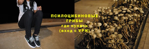 гашик Алзамай