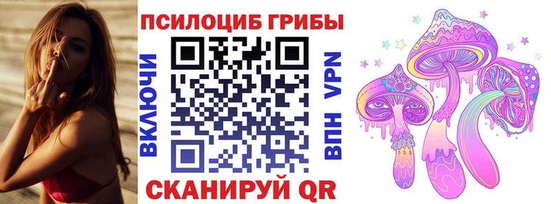 Галлюциногенные грибы прущие грибы  как найти   Дыгулыбгей 